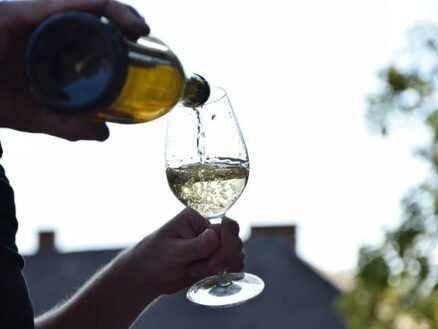 {{brizy_dc_image_alt imageSrc=